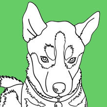 ANIMAL coloring pages - Coloring page