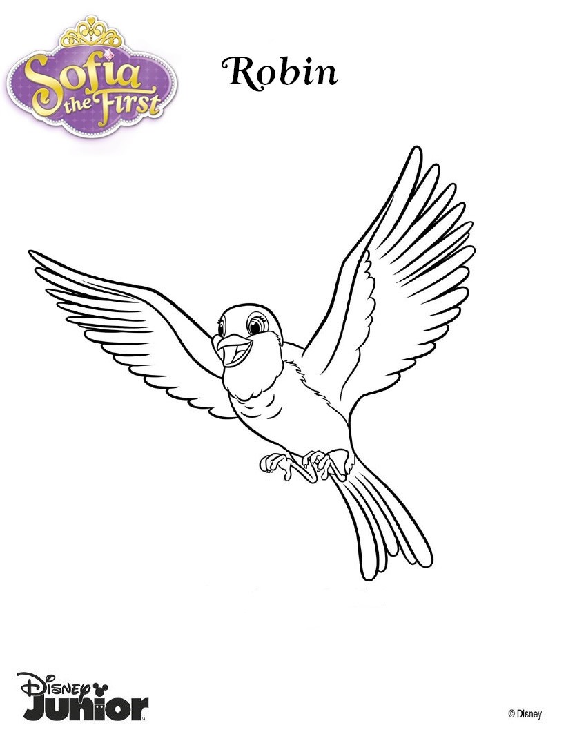 coloring page robin source qal