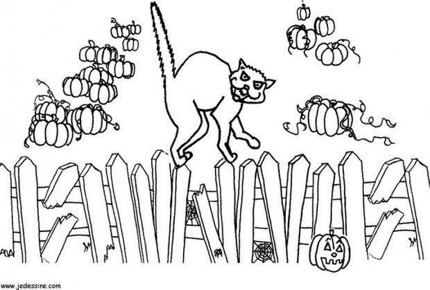 halloween black cat coloring pages for kids - photo #41