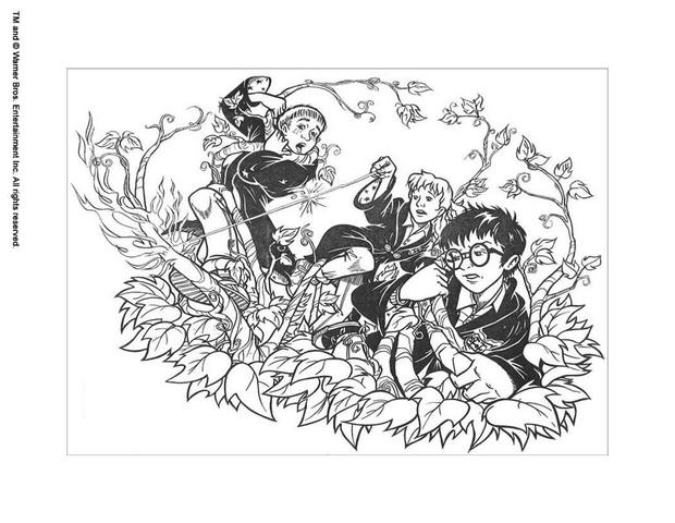 hermione-harry-potter-coloring-pages-lego-harry-potter-hermione