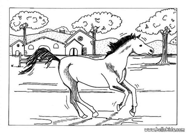galloping horse coloring pages - photo #12