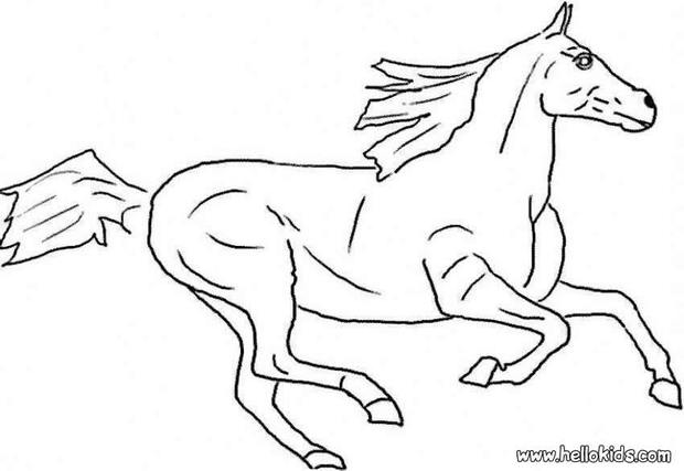 Galloping wild horse coloring pages - Hellokids.com