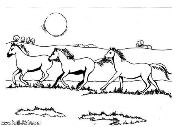 galloping horse coloring pages - photo #6