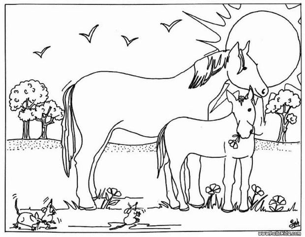 images of coloring pages of horses - photo #44
