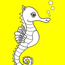 Also in SEAHORSE coloring pages