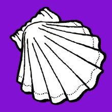 Also in SHELL coloring pages