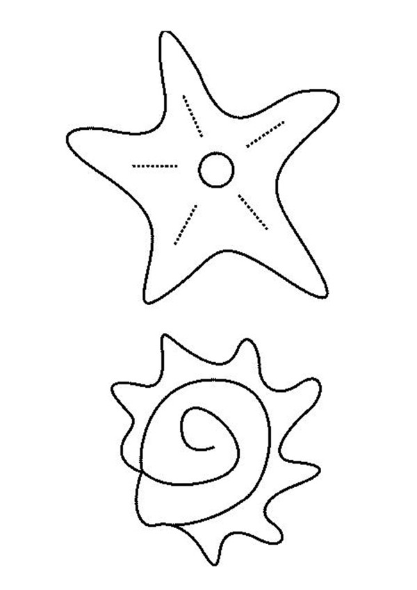 shell and starfish coloring pages  hellokids