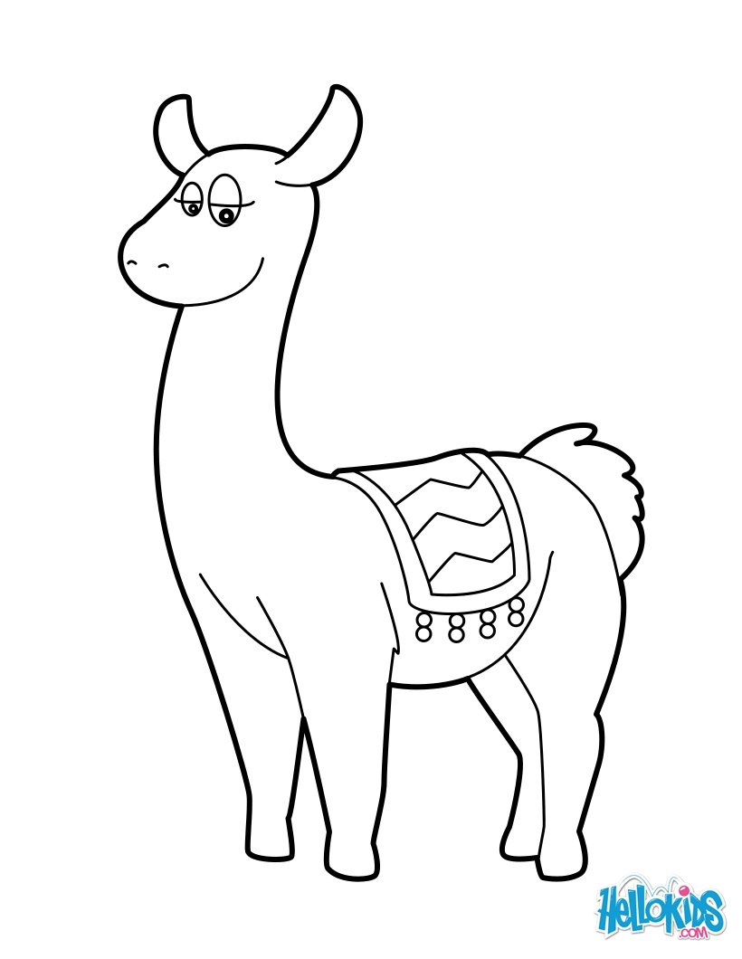 lama coloring pages  hellokids