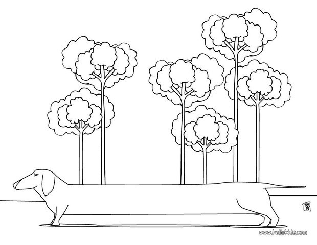 dachshund coloring pages - photo #13