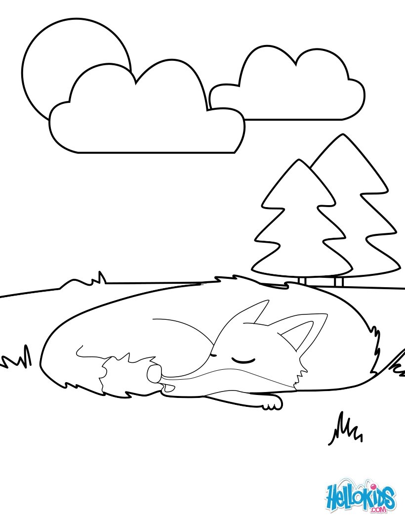 Fox Painter Sleeping Fox coloring page