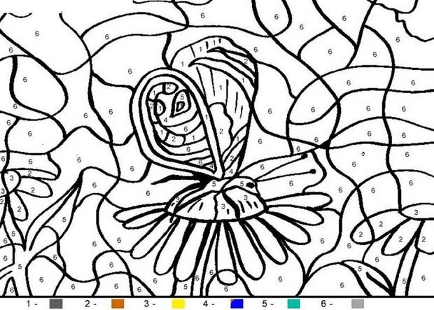 Butterfly coloring pages - Hellokids.com