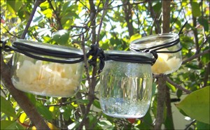 Glass Jar Bird Feeders craft for kids