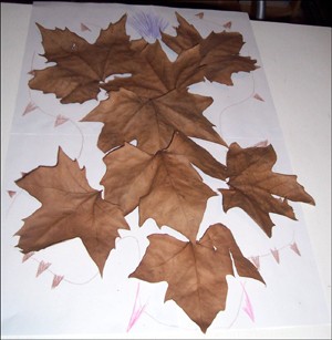 Seasonal Leaf Designs craft for kids