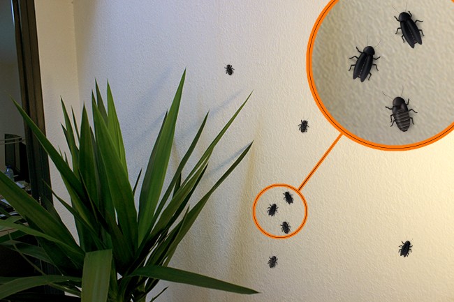 Insects trompe-l'oeil craft for kids