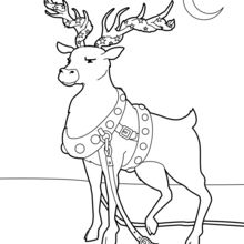 SANTA'S REINDEER coloring pages - 25 Xmas online coloring books and
