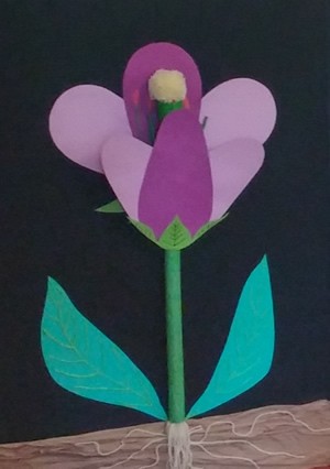 Science: Flower Anatomy 3D project School Lesson