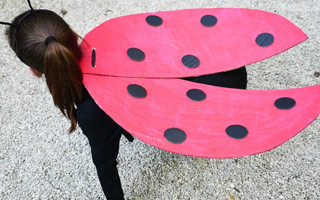 Ladybug Costume craft for kids