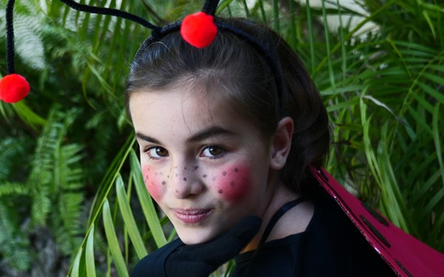 Ladybug Costume craft for kids