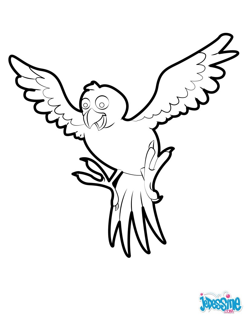 coloring pages of tropical bird