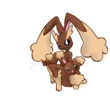 Buneary and Lopunny how-to draw lesson