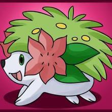 Shaymin
