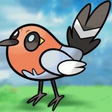 Fletchling how-to draw lesson