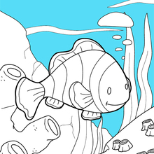 Fish Coloring Pages For Kids Animals - Drawing with Crayons