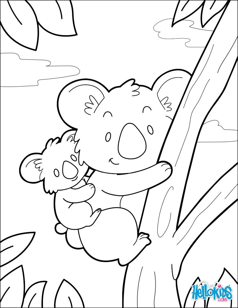 Koala coloring pages - Hellokids.com