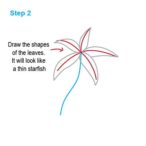 How To Draw A Palm Tree Leaf