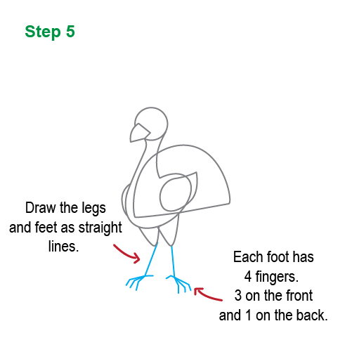 how to draw a peacock step by step