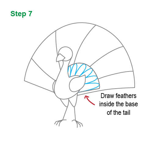 Arriba 97+ Imagen how to draw a peacock step by step with pictures Mirada tensa