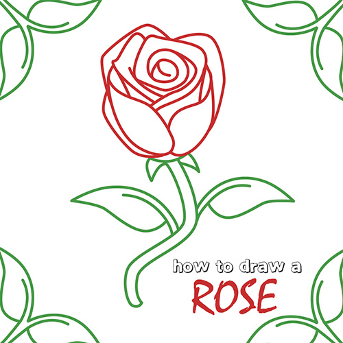 how to draw a simple rose step by step for kids