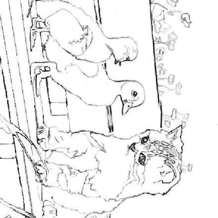 Kitten : Coloring pages, Drawing for Kids, Reading &amp; Learning, Kids ...