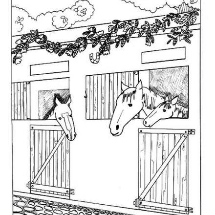 HORSE coloring pages - 51 ANIMALS of the world coloring books for kids