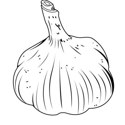 VEGETABLE coloring pages - Coloring pages - Printable Coloring Pages