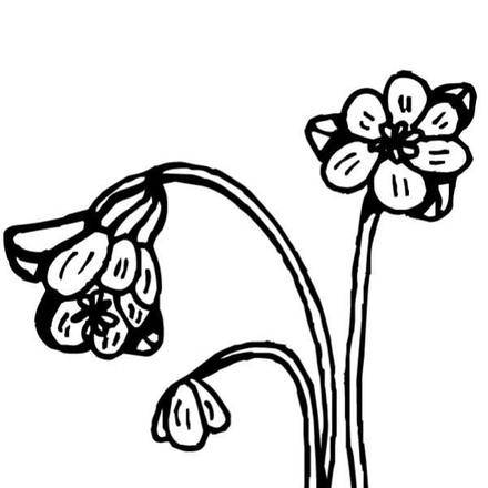 FLOWER coloring pages - Coloring pages - Printable Coloring Pages