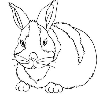 FARM ANIMAL coloring pages - 55 free Farm animals coloring pages & Kids