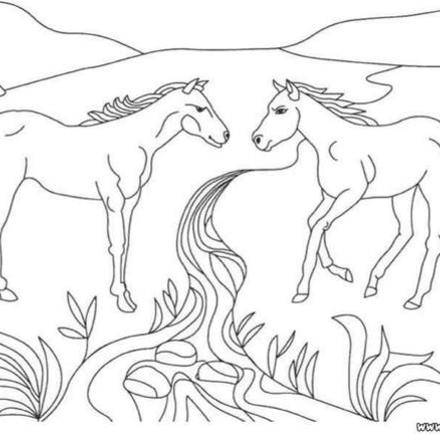 HORSE coloring pages - 51 ANIMALS of the world coloring books for kids