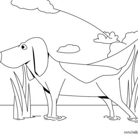 DOG coloring pages - 42 free Pets and animals coloring pages & online