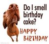 Birthdays
