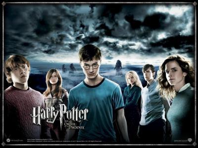 harry potter fan