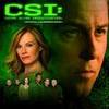 The CSI group