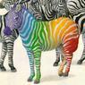 RaInBow GrOUp!!!!!