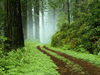 Nature Rocks