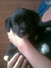i love animals!!!!!!!!!!!!!!!!!!!!!!!!!!!!!!!!!!!!!!!!!!!!!!!!!!!!!!!!
