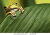 Help animals and save the earth