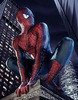Spider Man