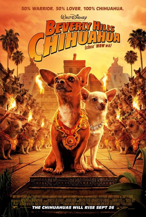 http://images.hellokids.com/_uploads/membres/articles/20090626/8bvhb_beverly_hills_chihuahua_xlg.jpg