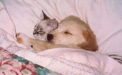 http://images.hellokids.com/_uploads/membres/articles/20090626/m9ysk_cuddling-1942.jpg