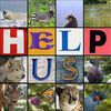 Help The Animals!